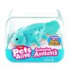 Интерактивная игрушка Pets & Robo Alive S1 Аксолотль бирюзовый (9556B)
