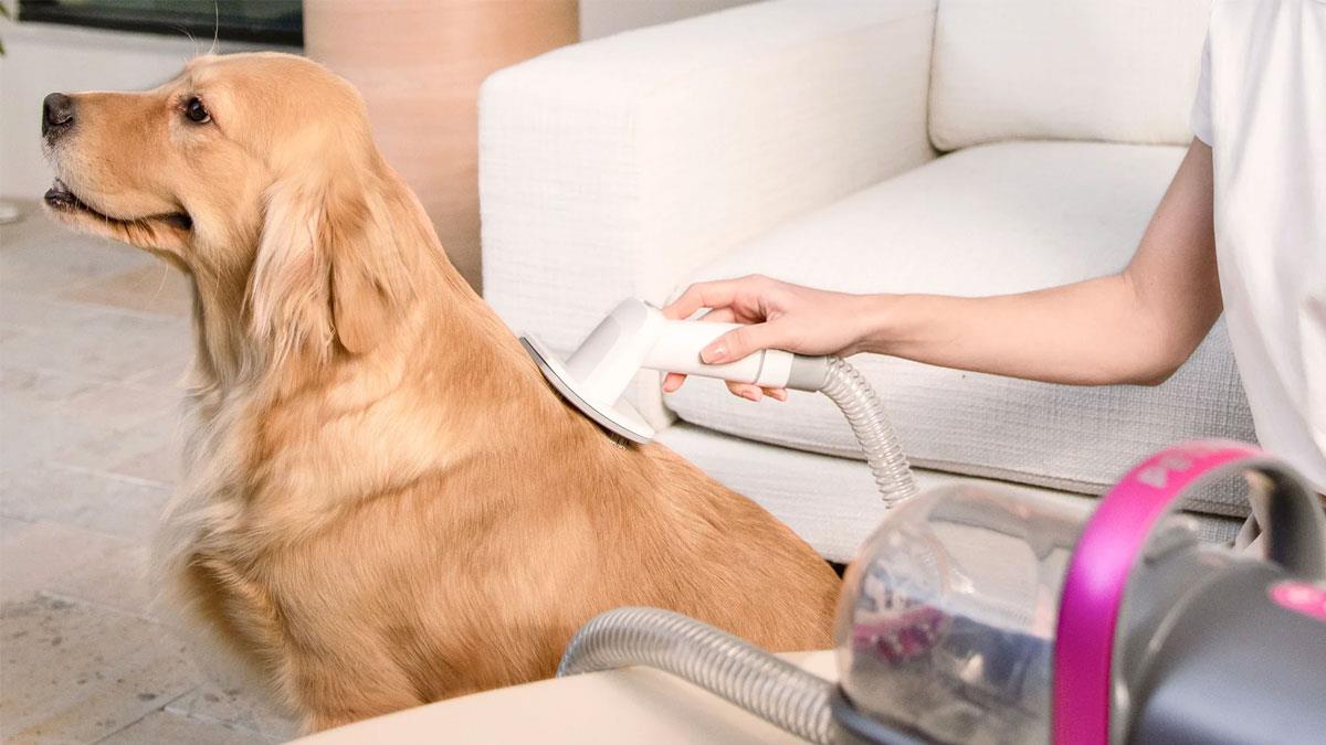 Набір для грумінгу 5 в 1 Petkit з пилососом (LM4)