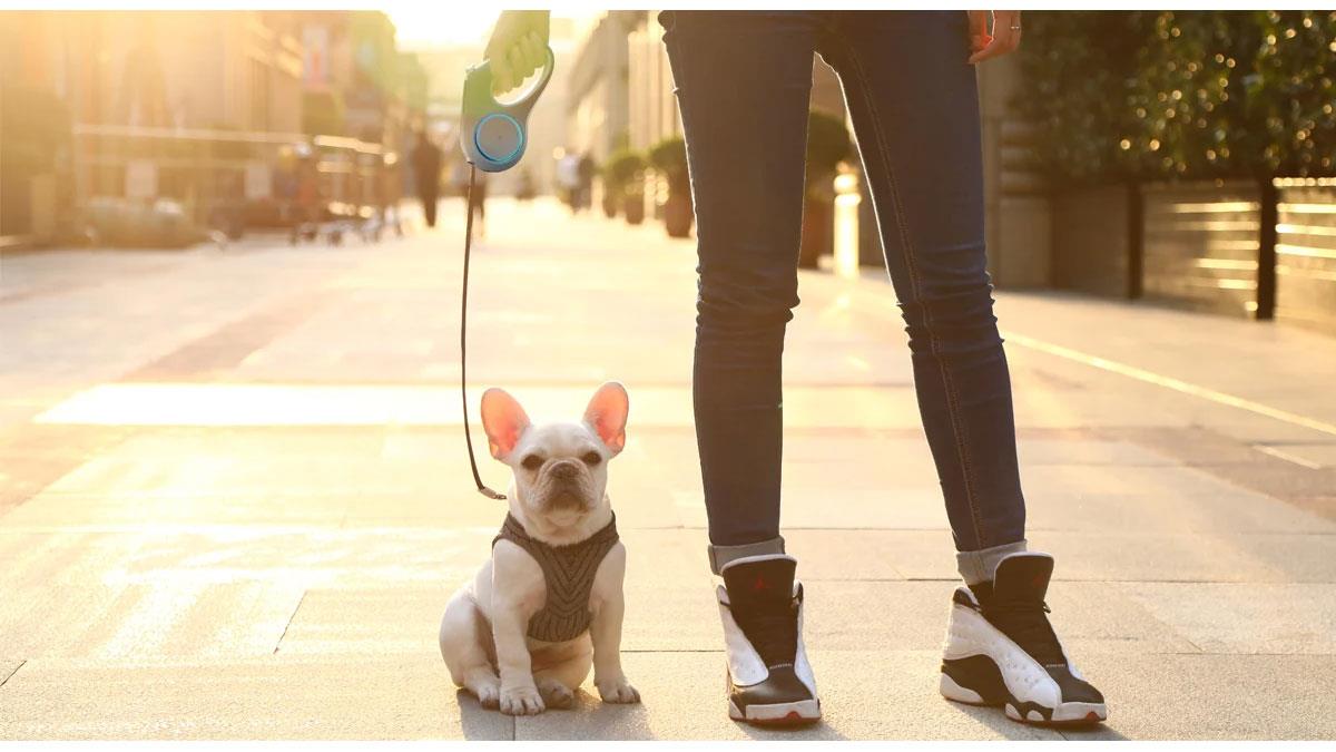 Поводок-рулетка Petkit Travel Go Shine Pet Leash 2,8 м (P2101)