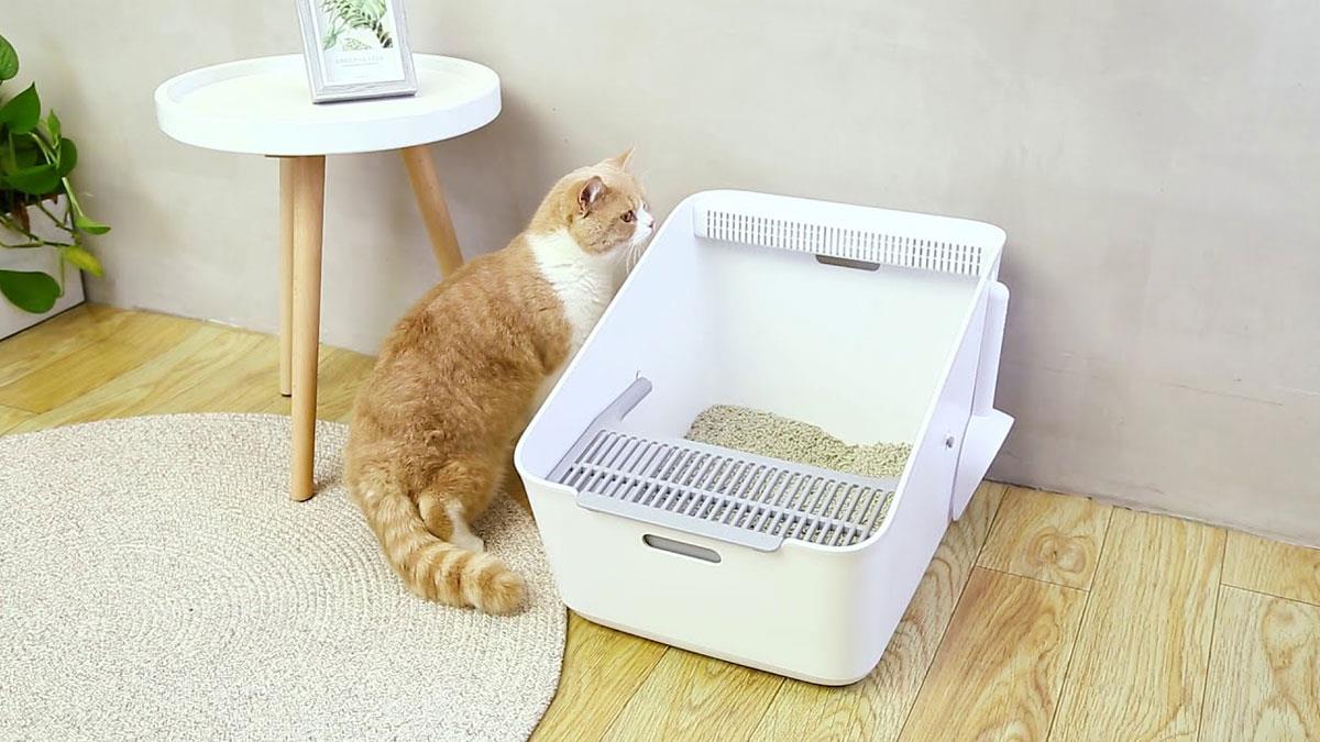 Лоток Petkit Pura Cat Litter Box белый (P951)