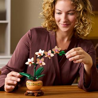 Конструктор LEGO Botanicals Мини орхидея 274 детали (10343)