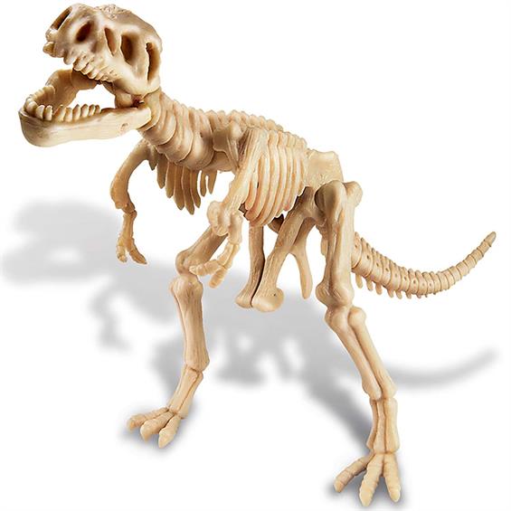 Набір для розкопок 4M Скелет тиранозавра (00-03221) - зображення 9
