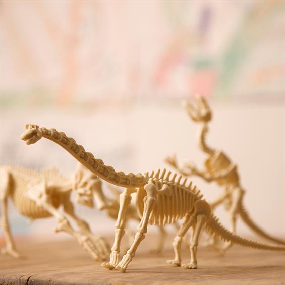 Набір для розкопок 4M Скелет тиранозавра (00-03221) - зображення 1