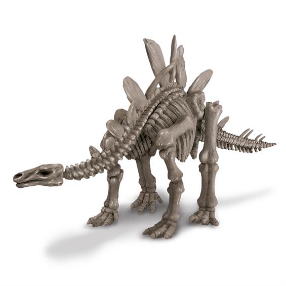 Набір для розкопок 4M Скелет стегозавра (00-03229) - зображення 4