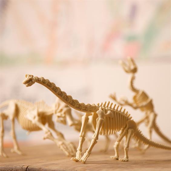Набір для розкопок 4M Скелет стегозавра (00-03229) - зображення 8