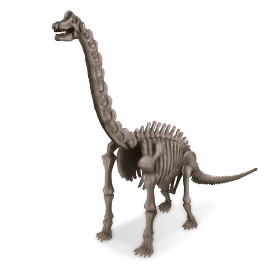 Набір для розкопок 4M Скелет брахіозавра (00-03237) - зображення 5