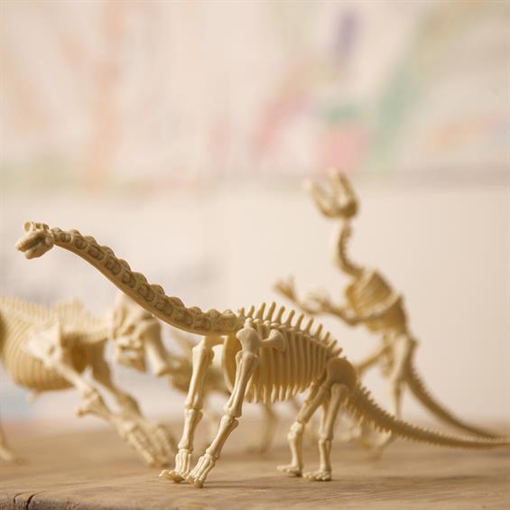 Набір для розкопок 4M Скелет брахіозавра (00-03237) - зображення 7