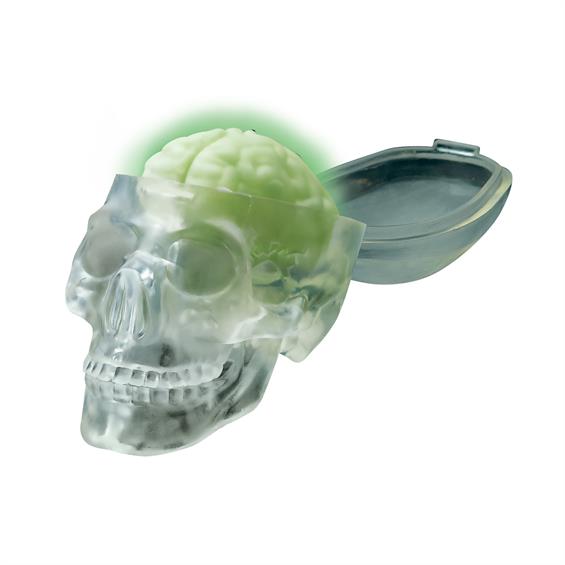 Світний череп 4M (00-03313) - зображення 1
