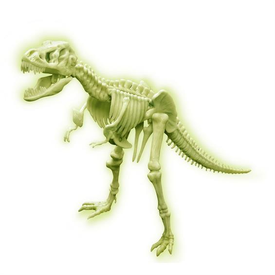 Світний скелет тиранозавра (набір для складання) 4M (00-03420) - зображення 2
