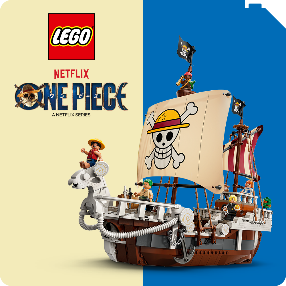 ONE PIECE